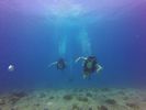 Hawaii Scuba divng 39