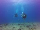 Hawaii Scuba divng 40