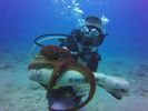 Hawaii Scuba divng 41