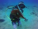 Hawaii Scuba divng 43