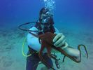 Hawaii Scuba divng 51