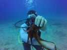 Hawaii Scuba divng 52