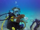 Hawaii Scuba divng 54