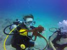 Hawaii Scuba divng 56