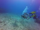 Hawaii Scuba divng 57