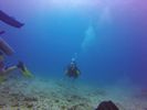 Hawaii Scuba divng 59