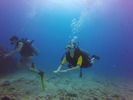 Hawaii Scuba divng 60