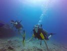 Hawaii Scuba divng 61