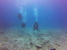 Hawaii Scuba divng 62