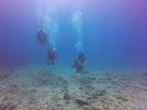 Hawaii Scuba divng 63