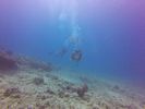 Hawaii Scuba divng 64