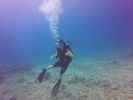 Hawaii Scuba divng 65