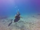 Hawaii Scuba divng 66