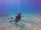 Hawaii Scuba divng 67