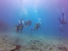 Hawaii Scuba divng 69