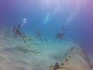 Hawaii Scuba divng 06