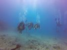 Hawaii Scuba divng 70