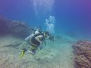 Hawaii Scuba divng 71