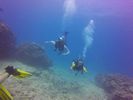 Hawaii Scuba divng 73