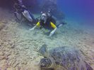 Hawaii Scuba divng 76