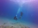 Hawaii Scuba divng 79