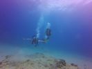 Hawaii Scuba divng 80