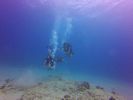 Hawaii Scuba divng 81