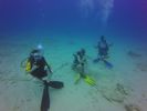 Hawaii Scuba divng 82