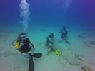 Hawaii Scuba divng 83