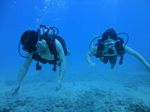 Hawaii Scuba divng 14