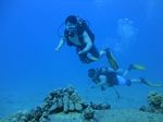 Hawaii Scuba divng 15