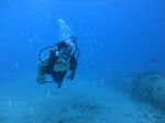 Hawaii Scuba divng 16