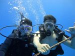 Hawaii Scuba divng 20