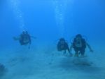 Hawaii Scuba divng 25