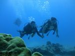 Hawaii Scuba divng 26