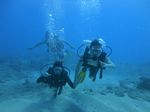 Hawaii Scuba divng 28