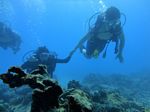 Hawaii Scuba divng 29