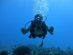 Hawaii Scuba divng 30