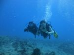 Hawaii Scuba divng 32