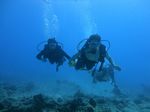 Hawaii Scuba divng 33