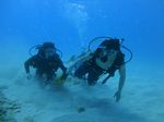 Hawaii Scuba divng 35