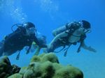 Hawaii Scuba divng 36