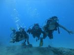 Hawaii Scuba divng 37