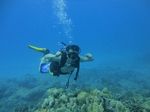 Hawaii Scuba divng 41