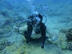 Hawaii Scuba divng 43