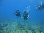 Hawaii Scuba divng 46