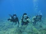 Hawaii Scuba divng 47