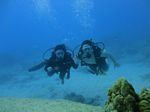 Hawaii Scuba divng 51