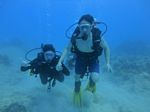 Hawaii Scuba divng 51