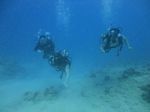 Hawaii Scuba divng 52